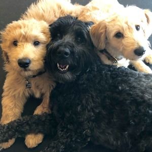 Meet your Posher, Karen